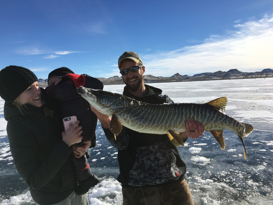 F58AB634-61E2-411D-B62A-FF8378E60227