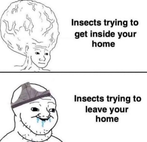 20250713-173602.jpg