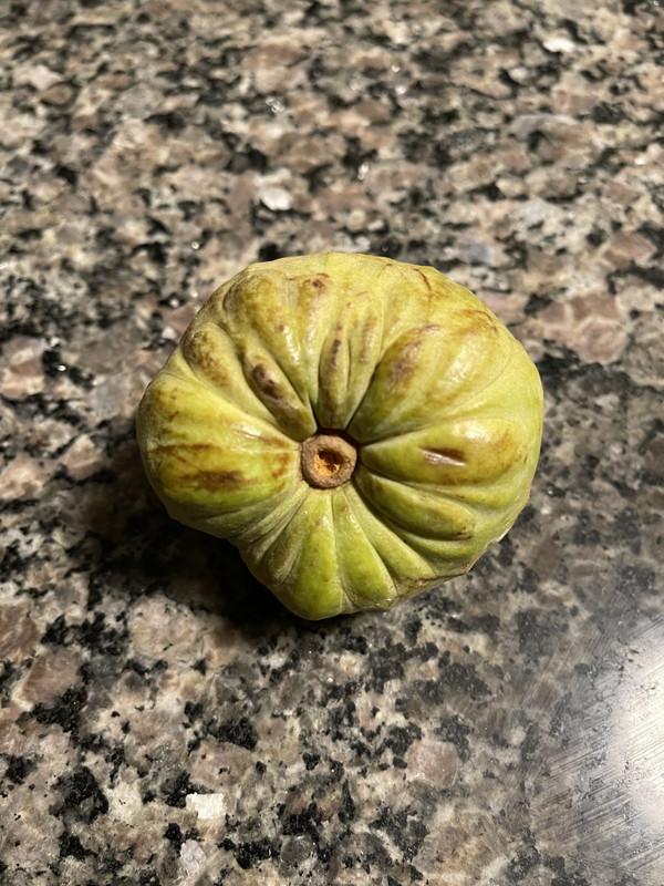 16F47C51-4A7E-44BE-8F4C-017B15AFB4A6