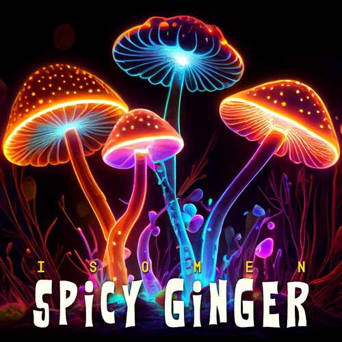 Isomen - Spicy Ginger (2024) [FLAC]
