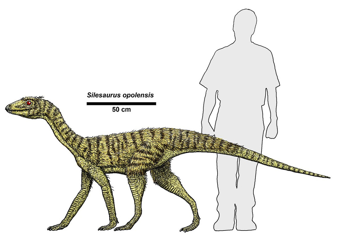 Silesaurus_opolensis