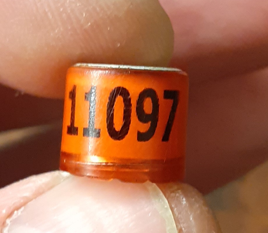 20220929_083904