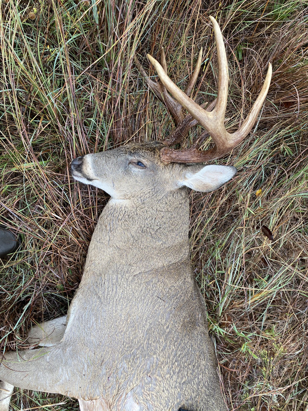 595F9467-93D3-4BE4-8461-2B2EBEC3B7B8