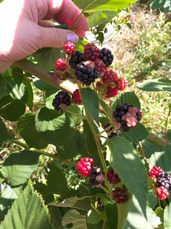 зображення_viber_2023-08-31_17-33-38-152