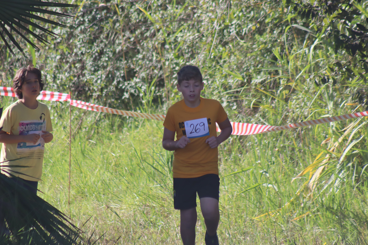 IMG-0476