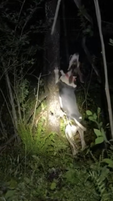 4BEC8E51-915F-486E-9764-E91F9C35D180