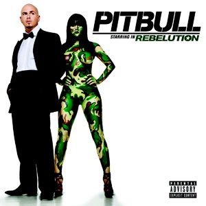 Re: Pitbull - Discography