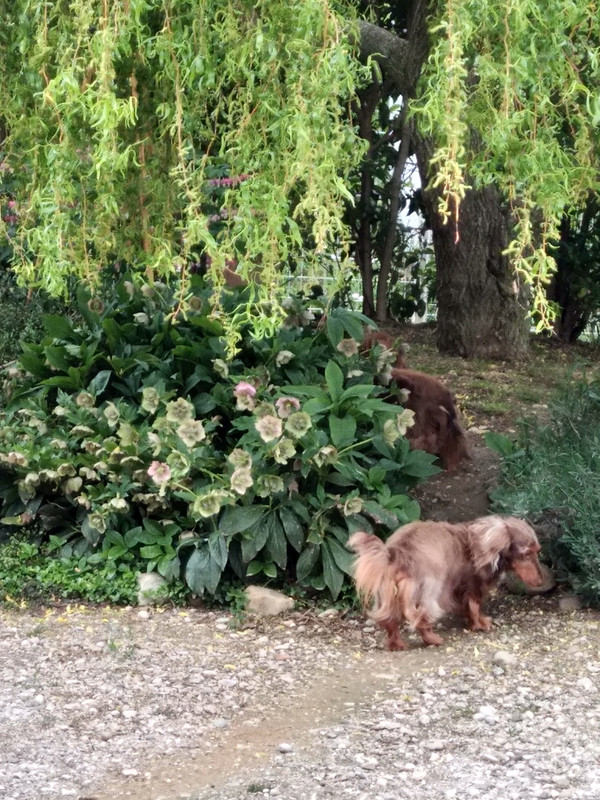 [Image: IMG-20230429-152616.jpg]