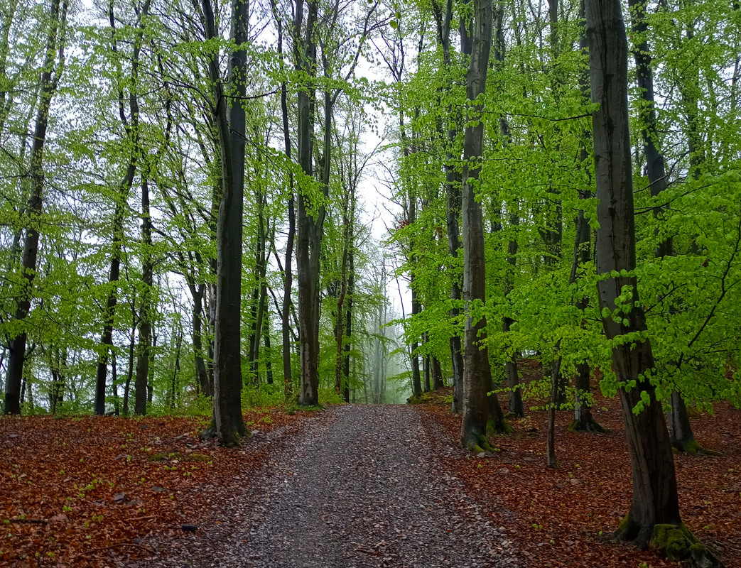 IMG-20250419-160656