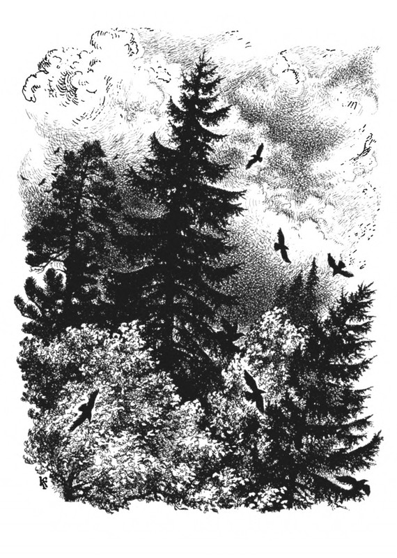 Belozerov-Timofej-Smorodinovyj-kust-1977-page-0016