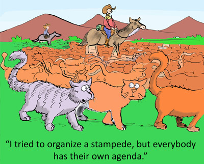 herding-cats.jpg