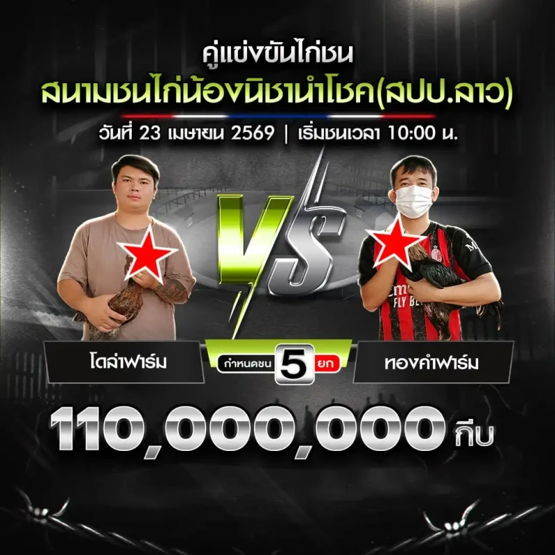 โดล่าฟาร์ม vs ทองคำฟาร์ม สนามชนไก่น้องนิชานำโชค 23 เมษายน 2569