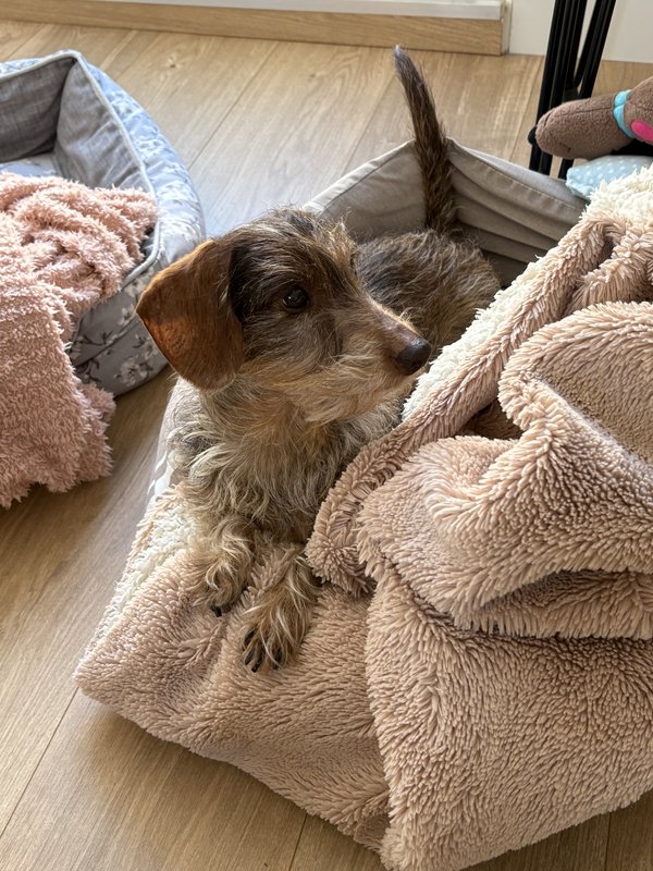 [Image: IMG-0045.jpg]