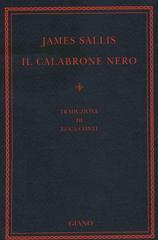 James Sallis – Il Calabrone Nero (2005)