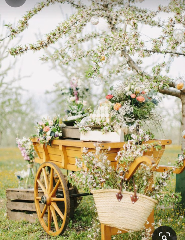 Screenshot_20240331_001027_Pinterest