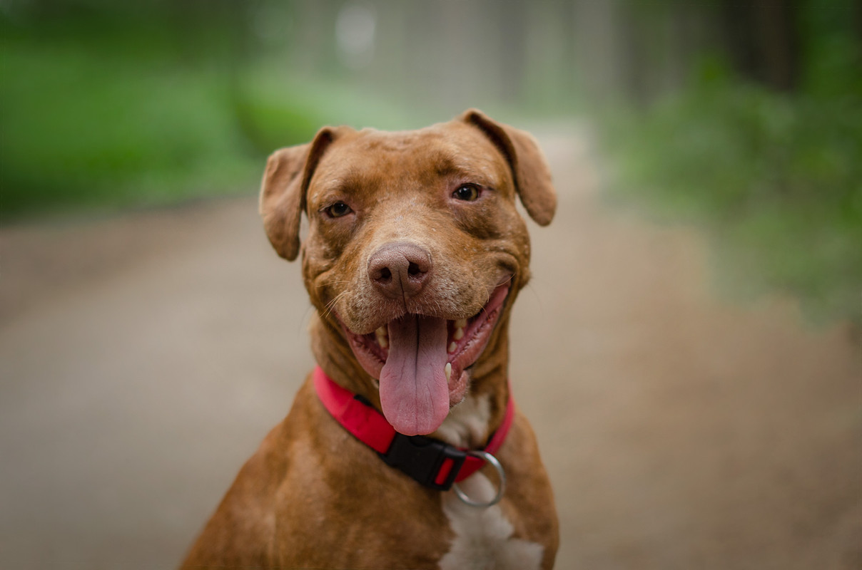 DSC_0097-восстановлено