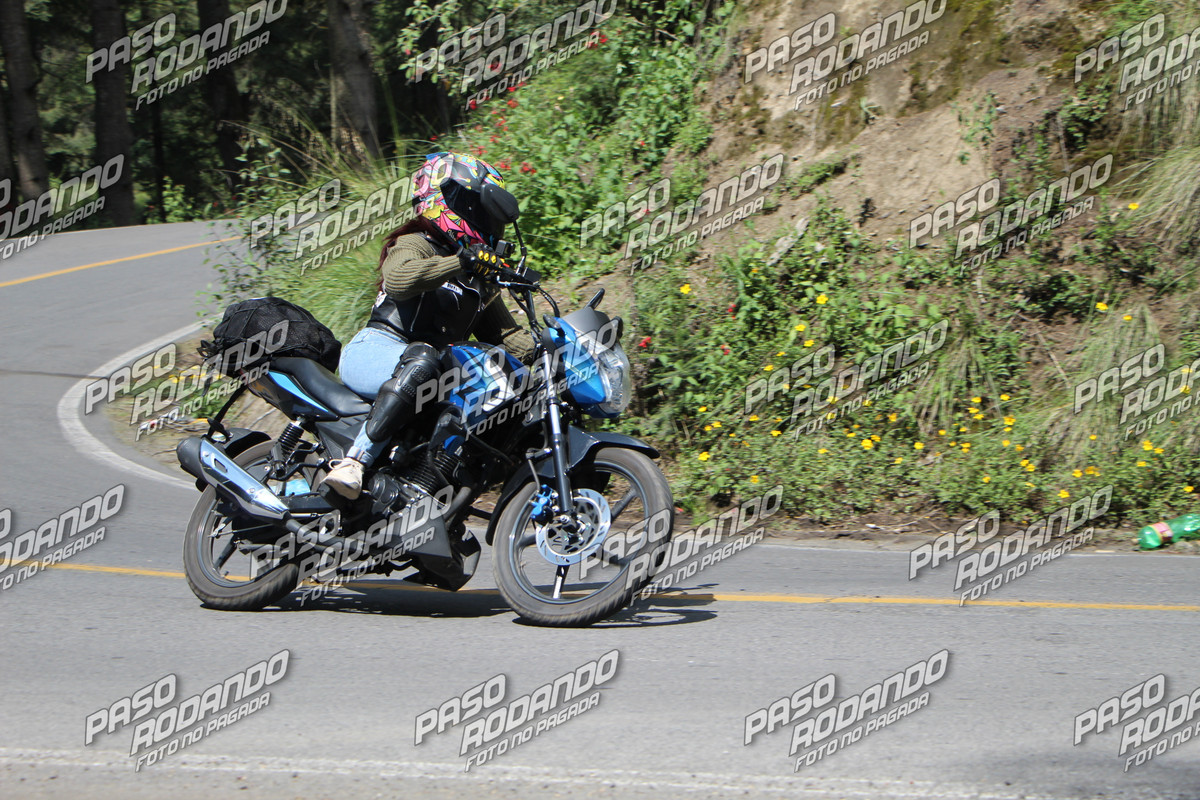 IMG 0028 wm 3423421 799999997 watermarked — Postimages
