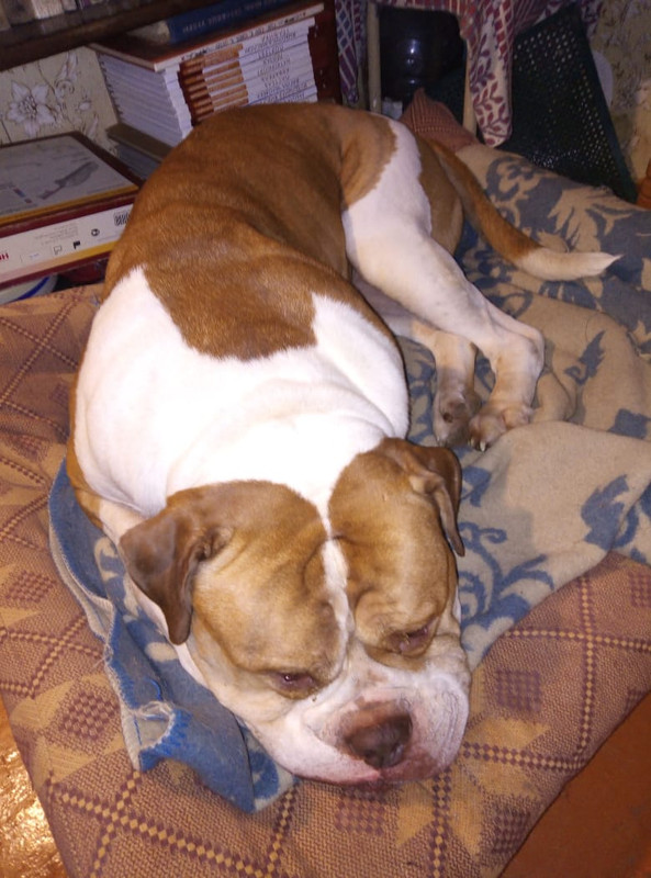 BC465774-01D6-4ECB-BED6-12037006FB11