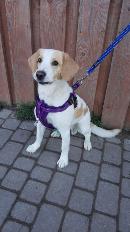 75636025_2482995751813289_6396393110582067200_n(1)