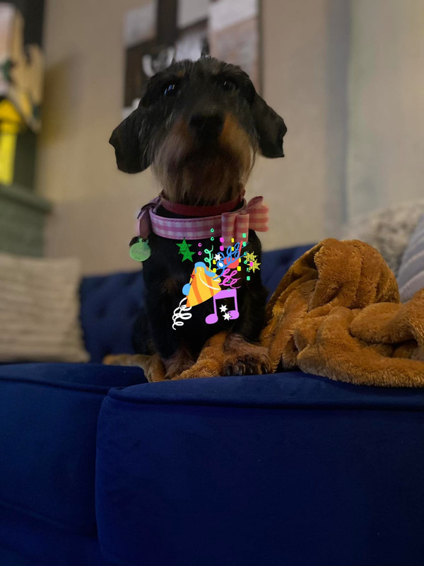 [Image: IMG-20240110-WA0008.jpg]