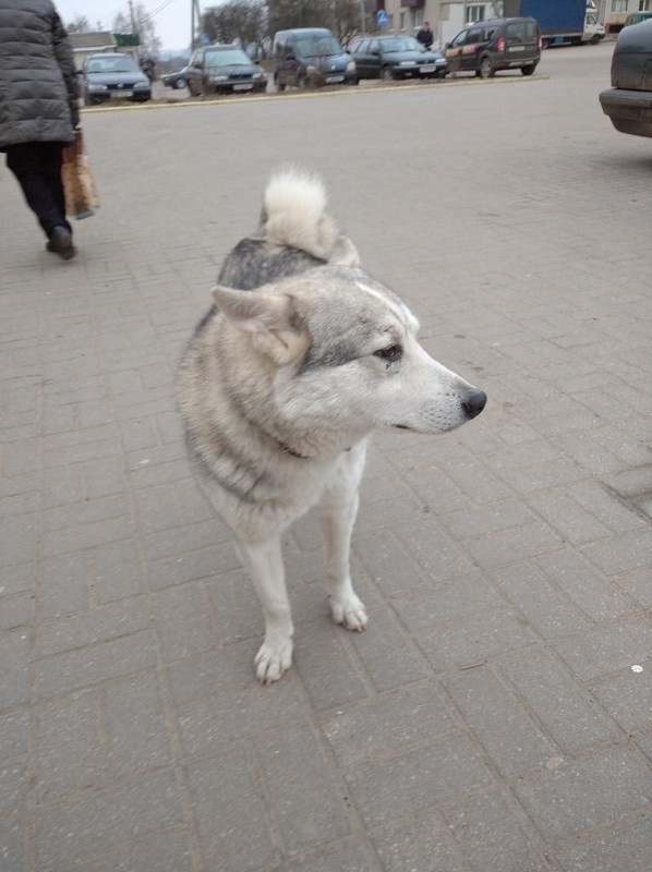 B773F784-71F4-4967-8D32-3E7B1D75BA62