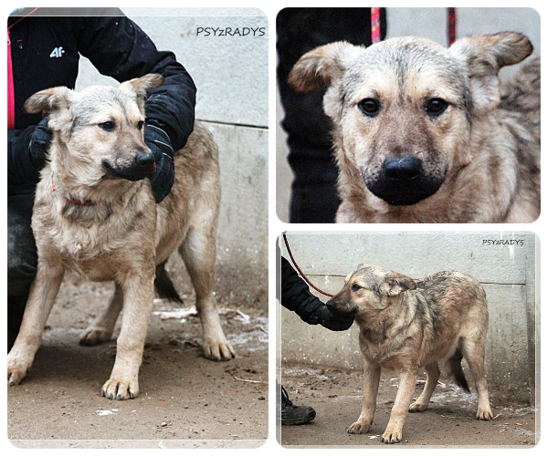 BeFunky-collage (25)