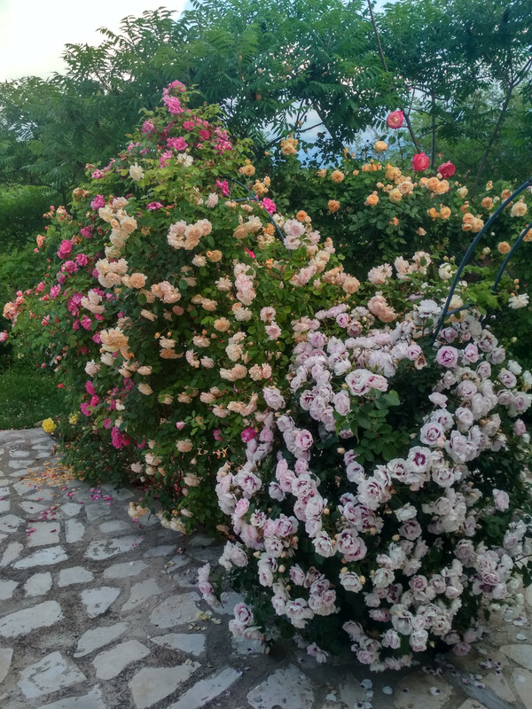 IMG_20190522_200257_HDR
