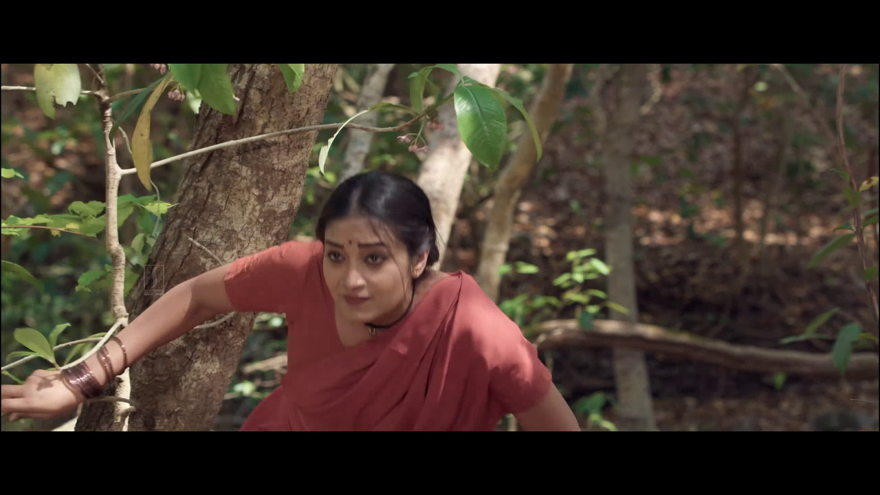 vlcsnap 2025 11 02 13h51m31s440