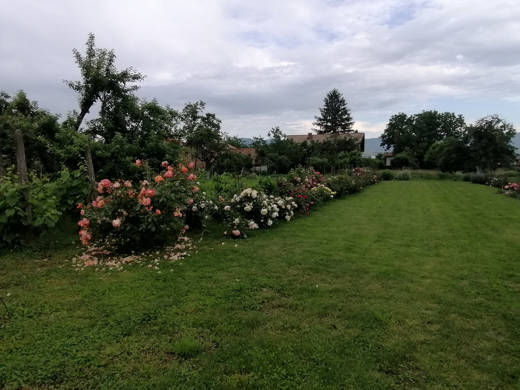 IMG_20210608_180209