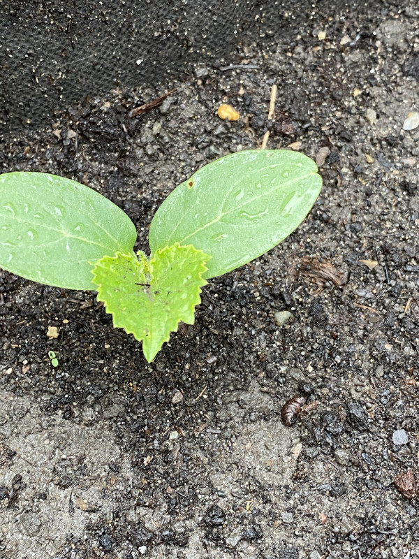 DE90AB28-E389-483A-AACE-1ED710C9F38D