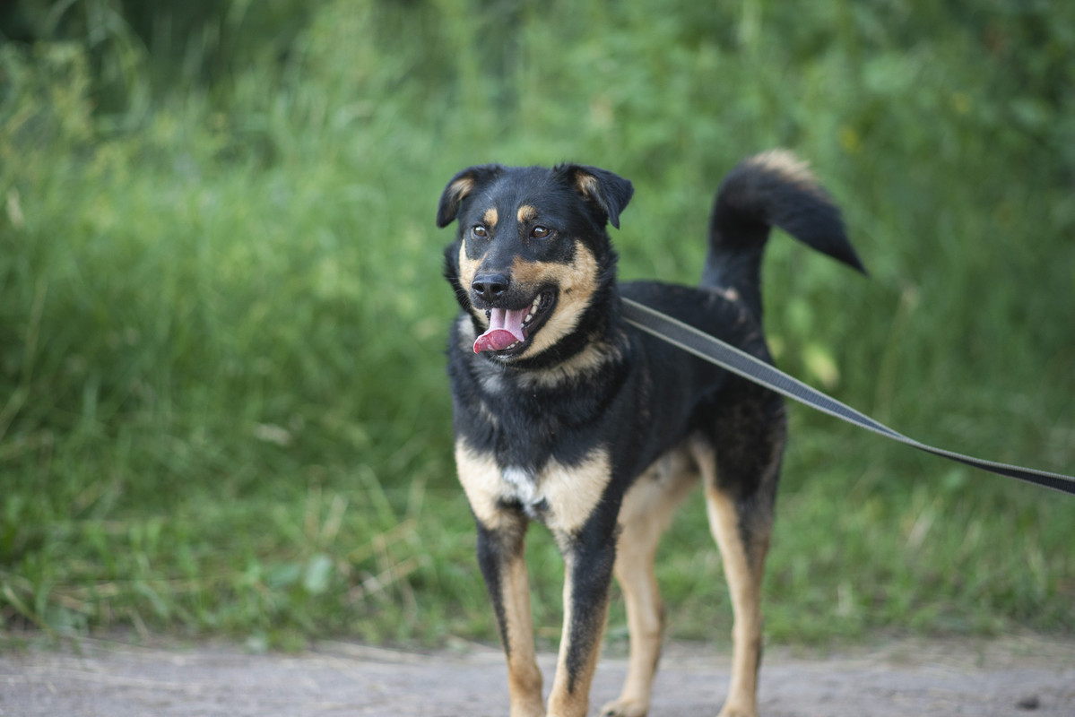 610_1200_барановичи