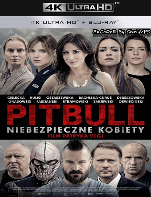 Pitbull: Niebezpieczne Kobiety (2016) PL.HDR.UP.AI.2160p.BluRay.DTS.HD.MA.AC3-ChrisVPS / FILM POLSKI i NAPISY