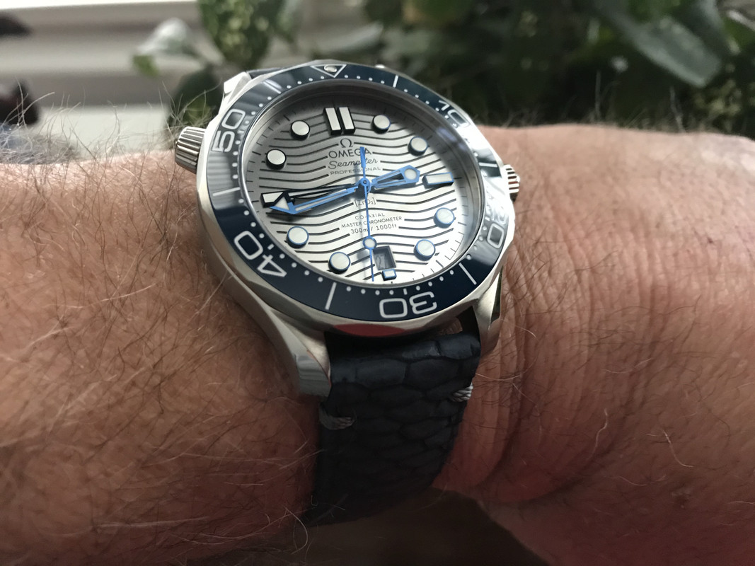 1ED4359A-20BF-4F78-89EB-5B570B6D8CD0