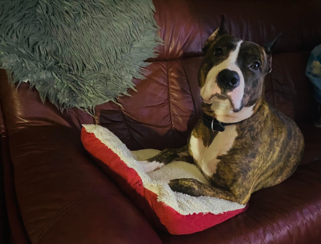 D1235667-34FF-4F03-8540-0ADB04A49247