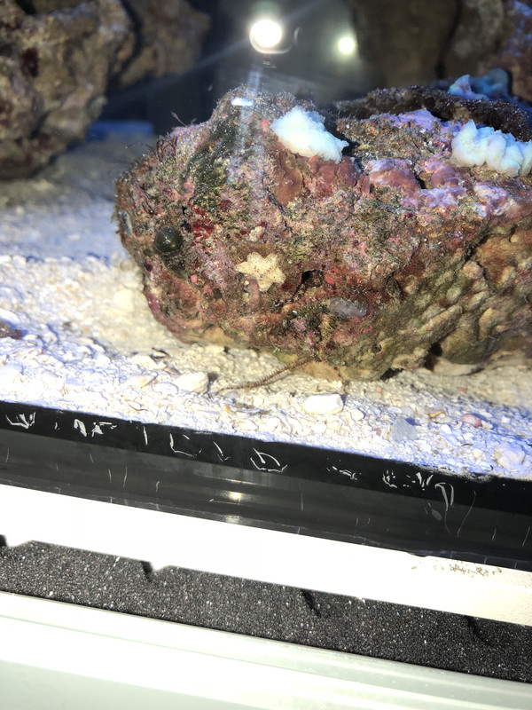 82626265-327F-4D95-B466-F3A3F4673395