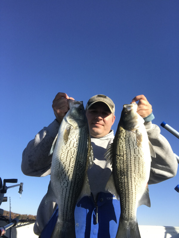 5D5C94F2-B9BE-4B53-A281-609513C32F59