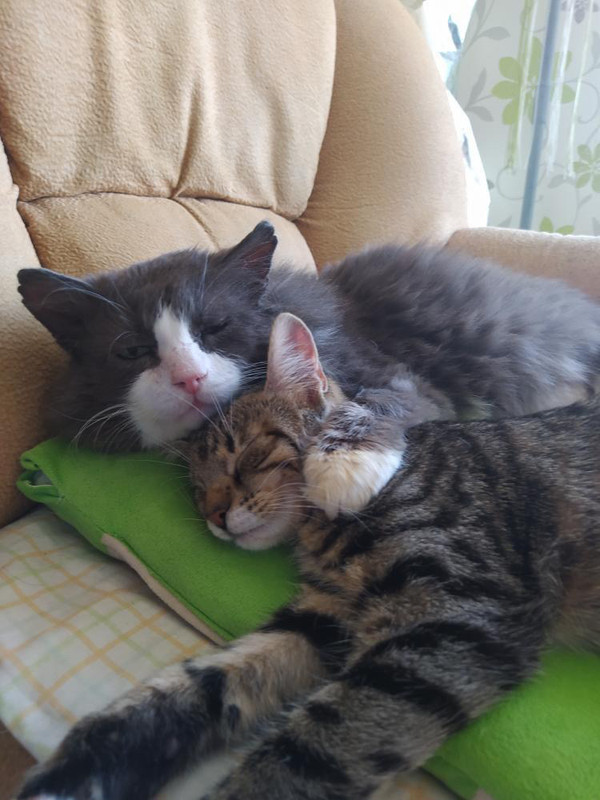 B0054B0C-3F3F-43FE-95F6-EDAE9E34EA45