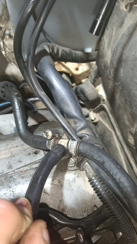 WhatsApp Image 2023-03-13 at 20.19.50