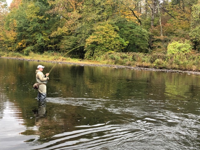 AD702BF4-5A6F-4A94-A8D5-835CA6B4D3C8