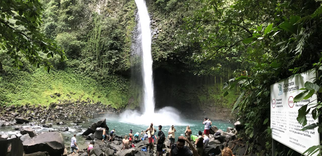 DE TORTUGAS Y PEREZOSOS. COSTA RICA 2019 - Blogs of Costa Rica - DIA 7: ARENAL. CATARATA FORTUNA (32)