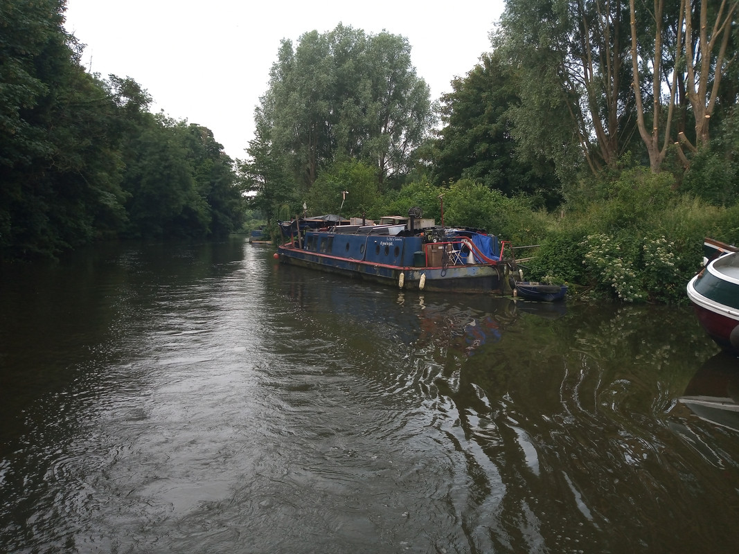 IMG_20230618_074500706