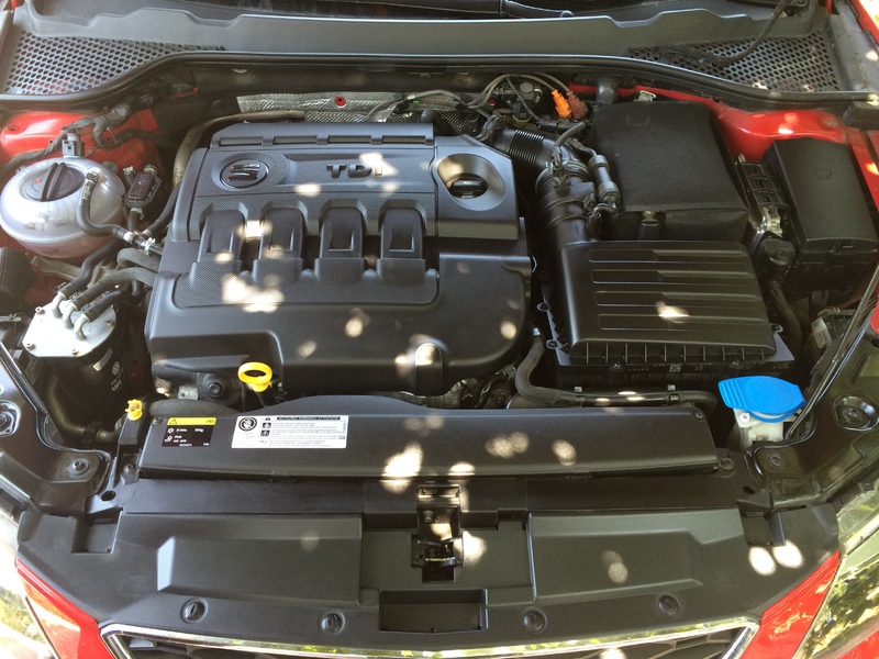IMG_1173