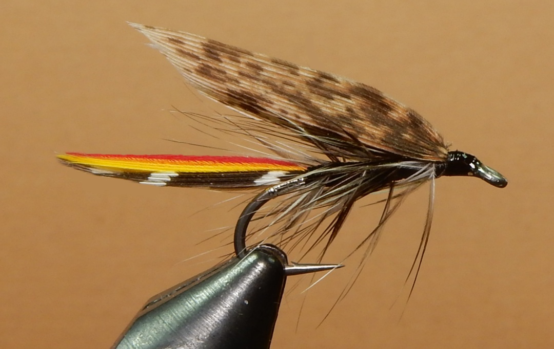 Fletcher-1080.jpg