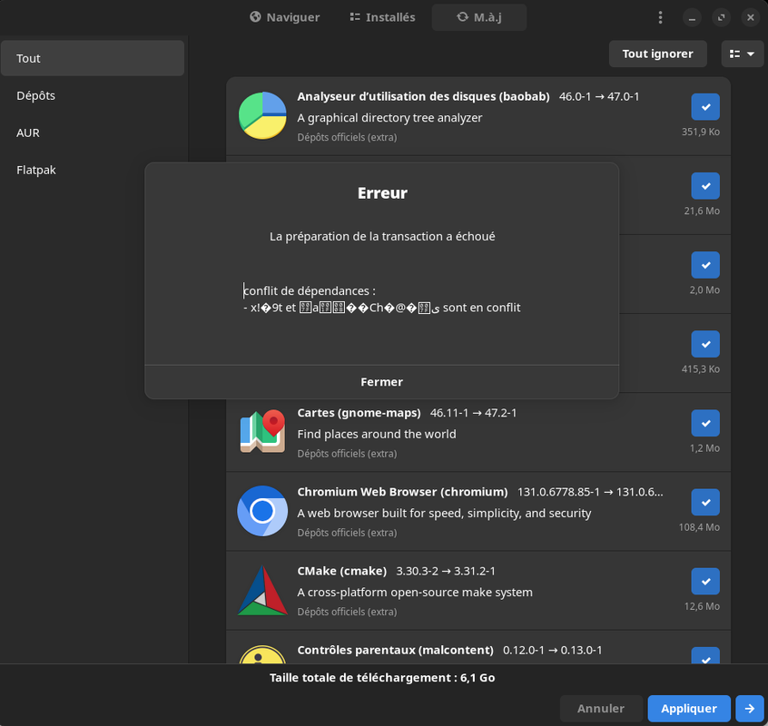 erreur manjaro 2024-12-26 11-20-11