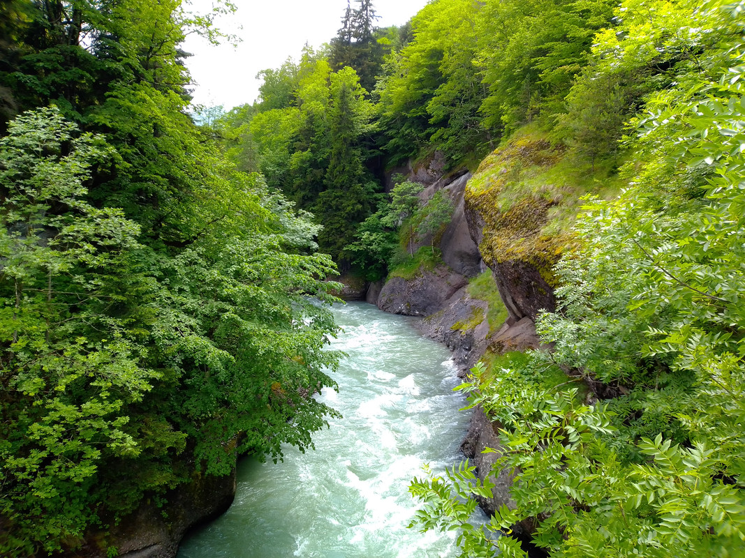 https://i.postimg.cc/vBPhSggv/IMG-20200614-132751.jpg