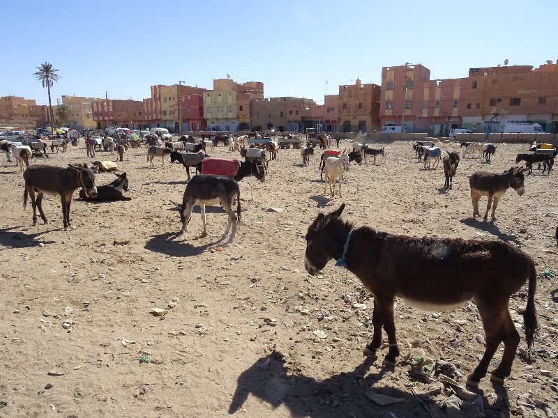Amanecer en el desierto, mercado de Rassani y la duna - 1 semana en Marruecos solo Fez, Chefchaouen y Rabat (4)