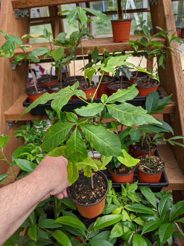 PXL_20230724_190417014.MP