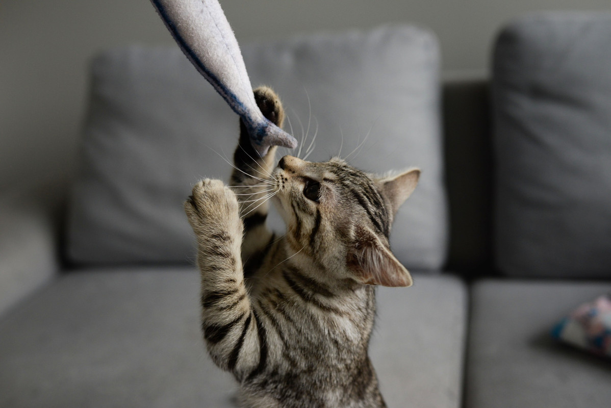 3FD48174-667C-4A98-AB07-0781F2A74F62