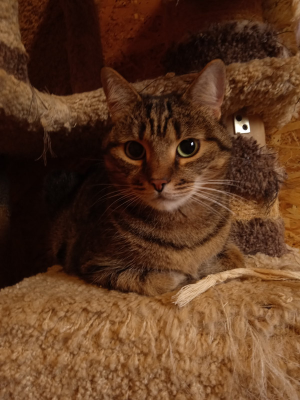 IMG-7fddf40e76206c5d8894f949f37e9900-V