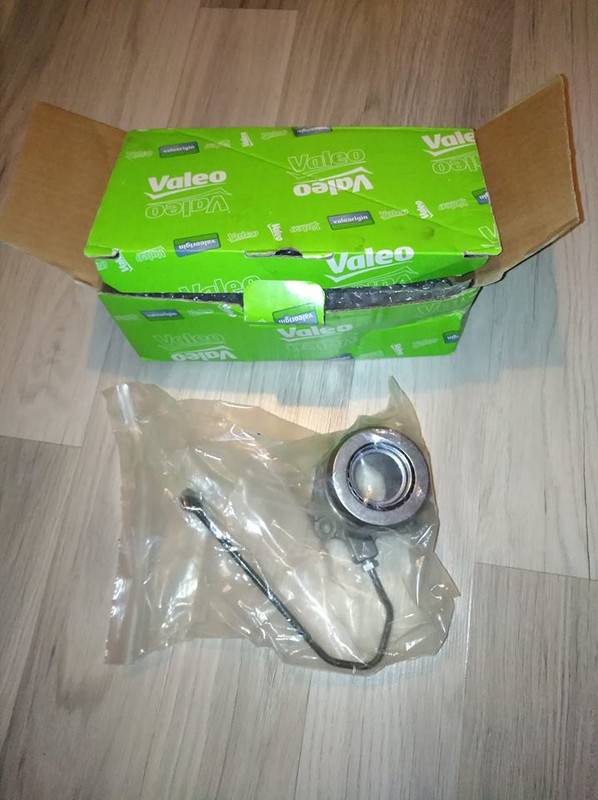 53067062_10157212371975763_3579602624124551168_n